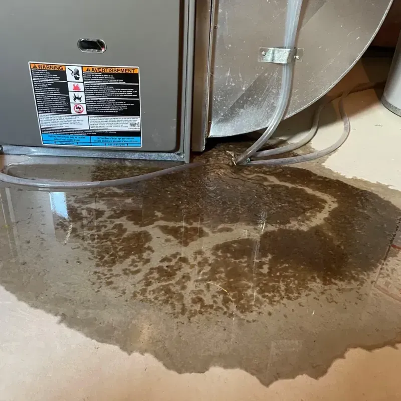 Appliance Leak Cleanup in Elm City, NC